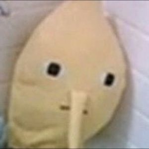 Meet your Posher, Dylan